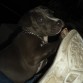 2 meses y medio